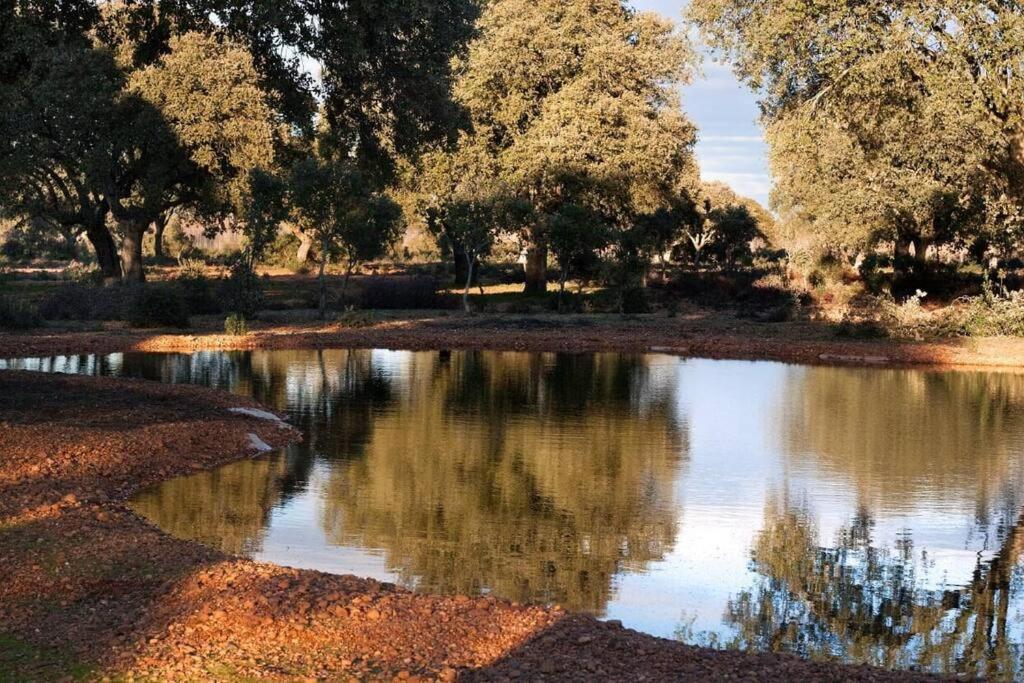 Casa Rural Finca Requejo Cerca De Benavente Tr 49426 Manganeses de la Polvorosa Extérieur photo